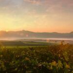 Bernheim Wines: The House of J.H Pacas