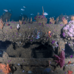 The wreck of the MV Rockeater