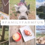 Cape Point farm stall