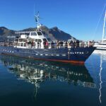 Circe Launches "Seal Island" trips