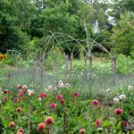 Flourish Urban Flower Farm