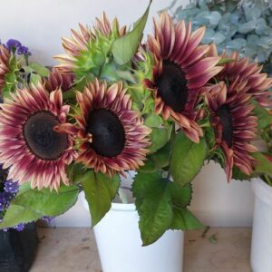 Jamestown Flower Farm