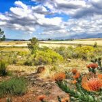 Fynbos Guest Farm and Animal Sanctuary