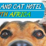 NORSAH Kennels & Cattery