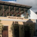Museum of Dogs