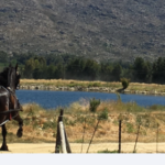 Op - Die -Berg Horse and Carriage Rides