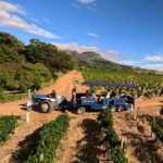 Wine Tractor