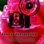 Lens of Perspective