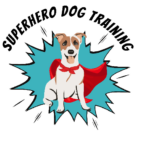 Superhero Dog Training