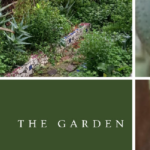 The Garden