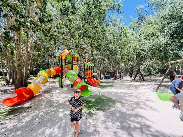Wine farms that children will enjoy