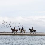Gansbaai Horse Riding