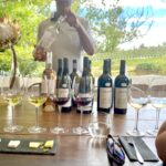 Vine Root Tours