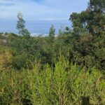 Wildfarm Backpackers'