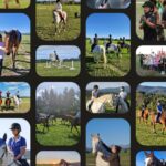 Braveheart equestrian riding school