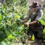 Forest friends urban farm